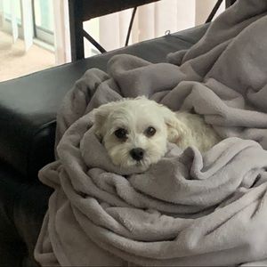 Meet your Posher, Elly